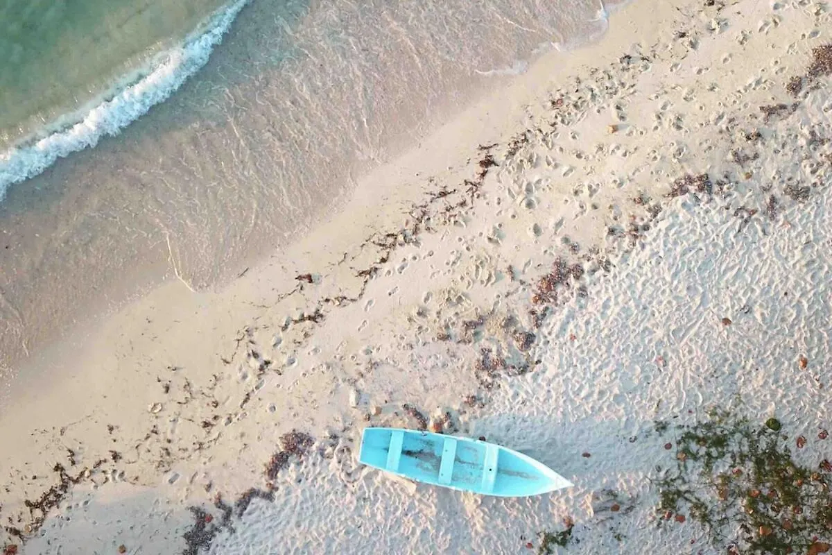 Javo Beach The Nest Las Galeras