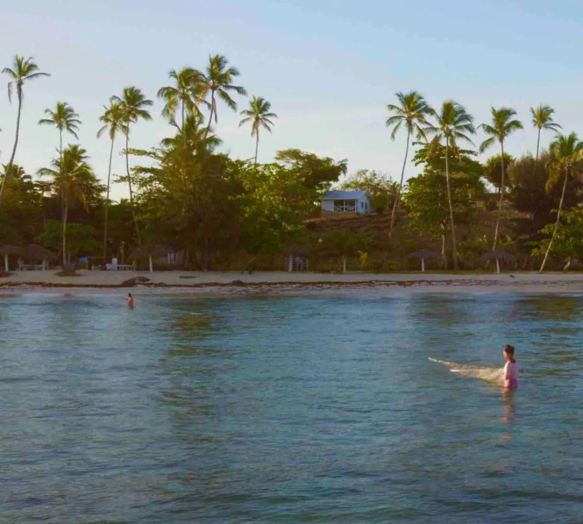 Javo Beach The Nest Las Galeras