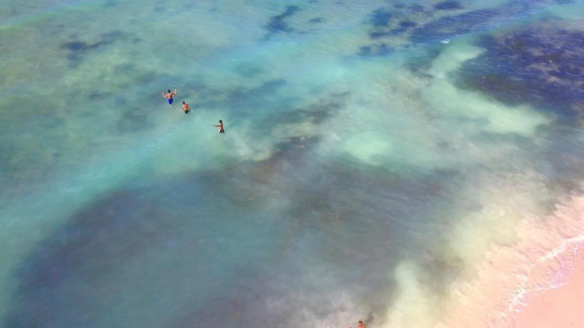Javo Beach The Nest Las Galeras
